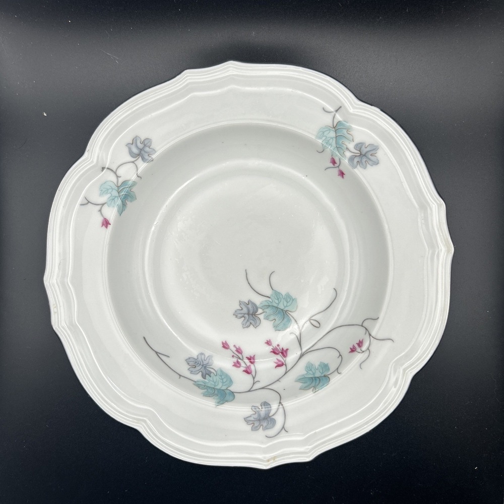 BARONET China SANDRA Germany Bavaria SOUP BOWL 8" Retired Pattern Replacement